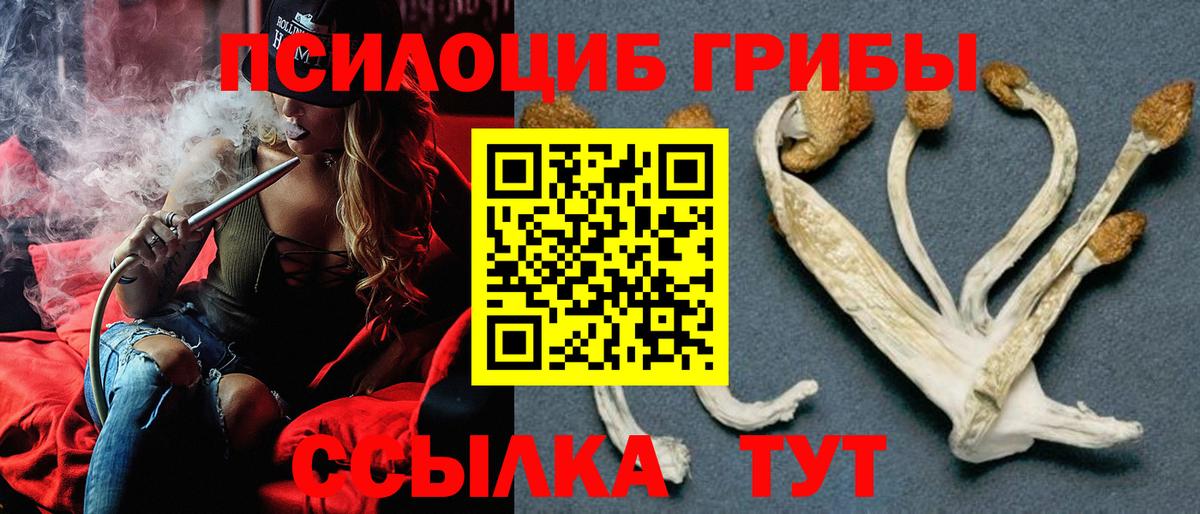 Галлюциногенные грибы Psilocybine cubensis  Вход с VPN  где купить наркоту  Амурск 